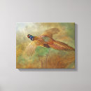 Recherche de peinture faisan Oiseaux