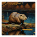 Zoek naar bevers posters Natuur