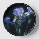 Recherche de iris horloges Photographie florale