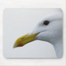 Zoek naar seagull muismatten Fotografie