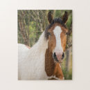 Recherche de peintures de cheval puzzles Rodéo