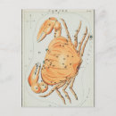 Recherche de illustration crabe cartes postales Constellation
