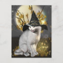 Recherche de pleine lune chat cartes postales Magique