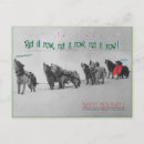 Recherche de traineau cartes postales Neige