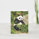 Zoek naar eet kaarten Panda