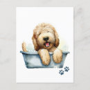 Zoek naar labradoodle briefkaarten Hond