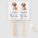 Recherche de chien souvenirs Noir et blanc