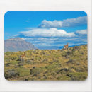 Recherche de patagonia tapis souris Photographie