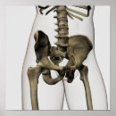 Recherche de colonne vertébrale art Soins de santé