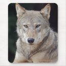 Recherche de wolf tapis souris Wolves