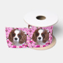 Zoek naar cavalier king charles spaniels lint Huisdier