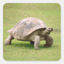 Recherche de solitude autocollants Animal