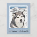 Recherche de malamute cartes postales Dog