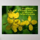Recherche de signification des fleurs posters Pour elle