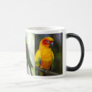 Recherche de perroquets tasses Pour eux