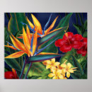 Zoek naar paradijs eiland posters Hibiscus