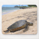Recherche de tortue hawaïenne tapis souris Tortues