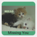 Recherche de vous manquant autocollants Chat