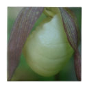 Zoek naar slippers tegels Damesglijper