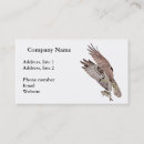 Recherche de oiseau de proie cartes visite Animal