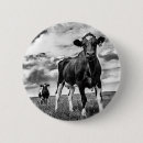 Recherche de cultures badges Animaux