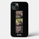 Zoek naar katten katten iphone hoesjes Jouw namen toevoegen