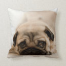 Recherche de carlin de enfant coussins Chiot