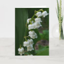 Recherche de lily of the valley vœux cartes Lièvre