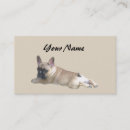 Recherche de bouledogue français cartes visite Animaux