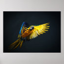 Recherche de ara bleu art Aviaire
