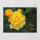 Recherche de bourgeons roses cartes postales Jaune