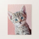 Zoek naar ogen puzzels Tabby