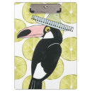 Recherche de toucan Sombrero