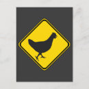 Zoek naar kip briefkaarten Rooster