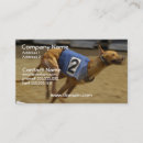 Recherche de levrier cartes visite Canin