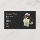 Recherche de tzu de shih cartes visite Chiot