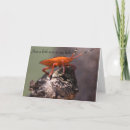 Recherche de dire juste bonjour vœux cartes Animal