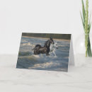 Zoek naar twee paarden kaarten Dieren