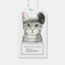 Recherche de chat bijoux Downton