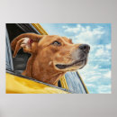 Zoek naar gele auto posters Hond in auto