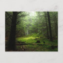 Recherche de auvergne cartes postales Paysage