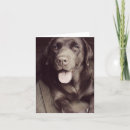 Zoek naar chocolade labrador retriever kaarten Puppy