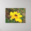 Recherche de vibrant photographie Fleur jaune