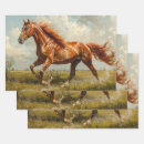 Recherche de mustang papier cadeau Sauvage