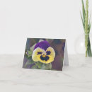 Zoek naar pansy kaarten Natuur