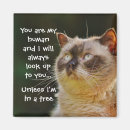 Recherche de marrants magnets Drôle