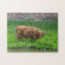 Recherche de vache puzzles Animaux
