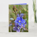 Recherche de oeil bleu vœux cartes Fleurs