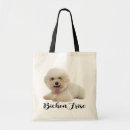 Recherche de bichon accessoires Chiot
