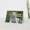 Recherche de tigre blanc vœux cartes Faune
